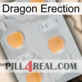 Dragon Erection 24